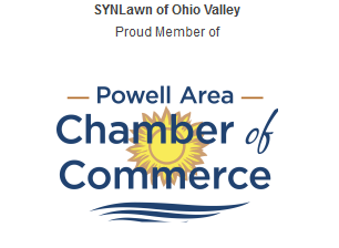 Powell Chamber of Commerce Badge